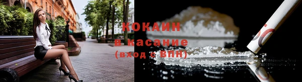 гашик Алзамай