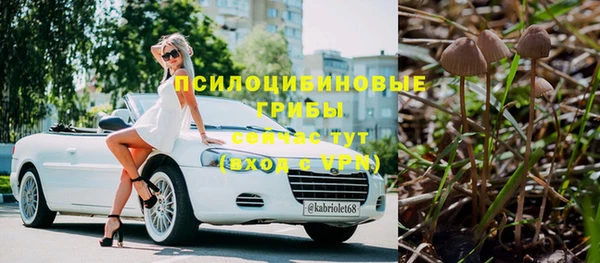 гашик Алзамай