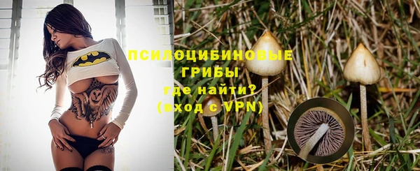 стаф Абаза