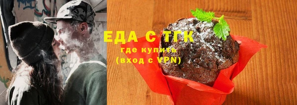 хмурый Алексин