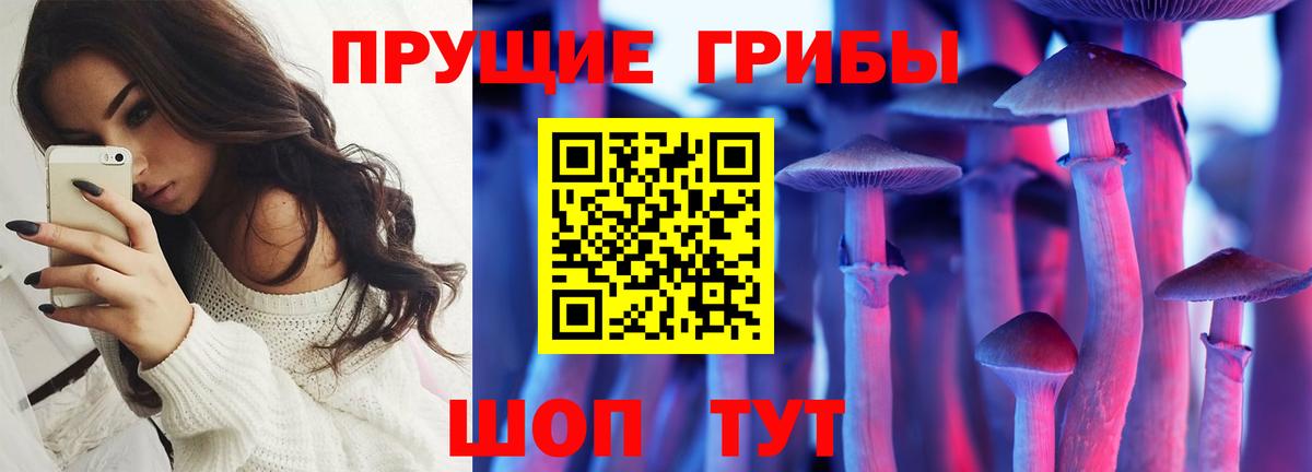Псилоцибиновые грибы мицелий  Вход с VPN  Новоуральск  Галлюциногенные грибы мицелий 